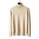 Marco Herren-Rollkragenpullover