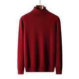 Marco Herren-Rollkragenpullover