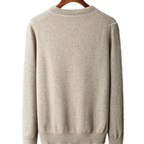 Fabian Herren-Polopullover