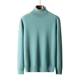 Marco Herren-Rollkragenpullover