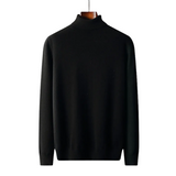 Marco Herren-Rollkragenpullover