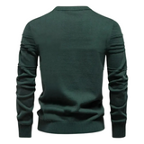 Levin Herrenpullover