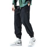 Detlef Herrenhose aus Samt