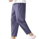 Levin Herrenshorts